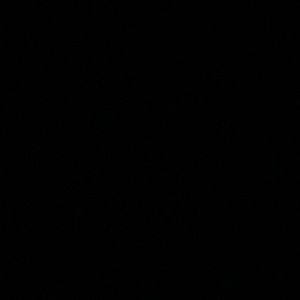 Meet your Posher, Rischal